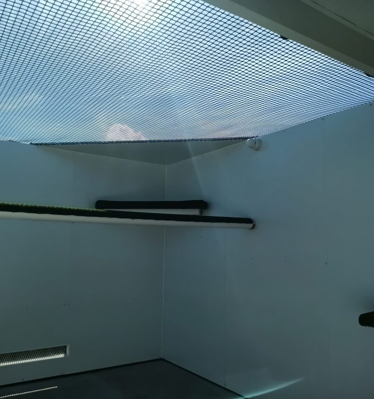 IMG_20250909_112532_302